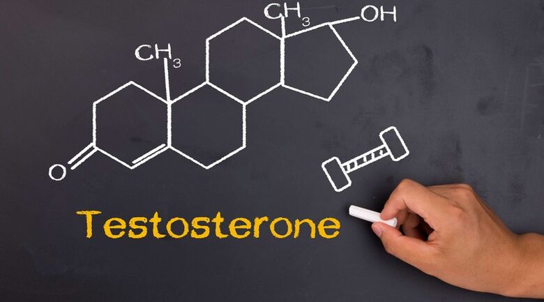 Hladiny testosteronu ovlivňují velikost mužského penisu